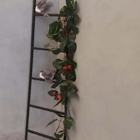 Appartement Thess Old Town With Free Private Parking Thessalonique
